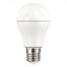 AMPOULE À LED E27 HAUTE PERFORMANCE 10,5W