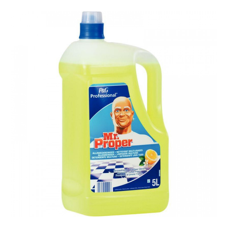 BIDON NETTOYANT MR PROPRE CITRON 5L