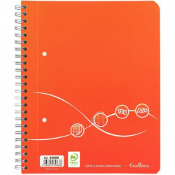 CAHIER SPIRALE A5 160P 5X5 70G 2 TROUS A4 DETACHE COUV CARTON PEFC ECOLABEL FAB France