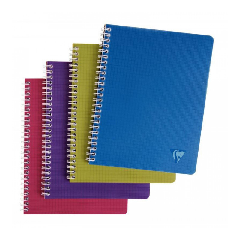 CAHIER SPIRALE A5+ 180P 5X5 90G EVOLUTIV'BOOK CLAIREFONTAINE FAB France PEFC