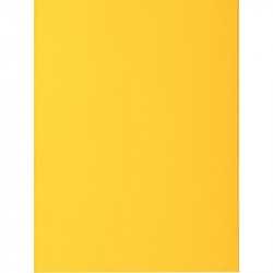 CHEMISES JAUNE CITRON PQT 50 2 RABATS 210G ROCK'S 220 FORMAT 24X32 CM