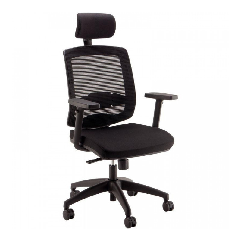 FAUTEUIL MALICE+ TRANSLATION + TÉTIÈRE NOIRE+ACC.3D-SUP.LOMBAIRE