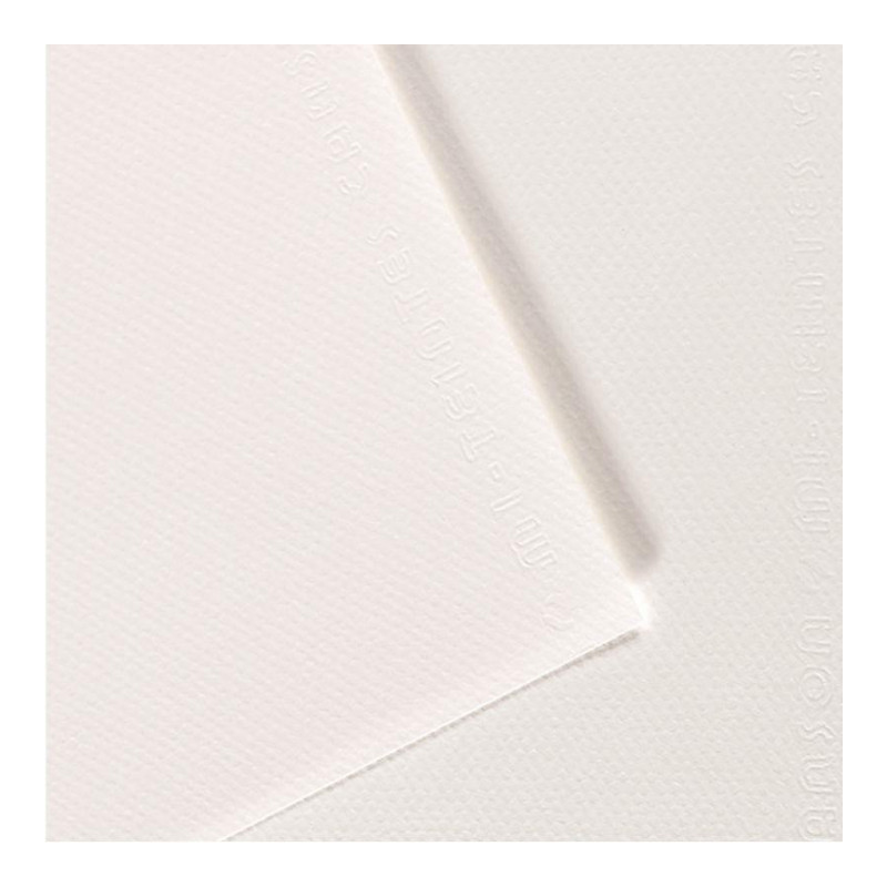 FEUILLES MI-TEINTE FORMAT 50X65 COLORIS BLANC PAQUET DE 10