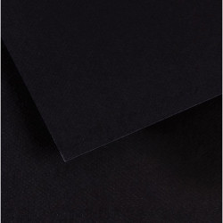 FEUILLES MI-TEINTE FORMAT 50X65 COLORIS NOIR PAQUET DE 10