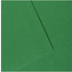 FEUILLES MI-TEINTE FORMAT 50X65 COLORIS VERT BILLARD PAQUET DE 10