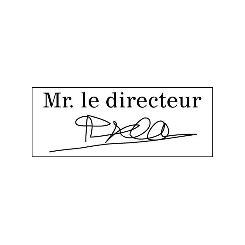 OPTION POUR TAMPON LOGO OU SIGNATURE