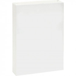 PAPIER A4 80G BLANC ECONOMIQUE RAM500F DONT ECOFOLIO 0.13CTS