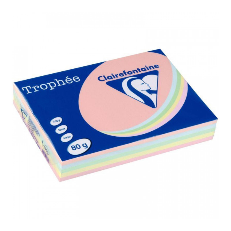 PAPIER REPRO A4 PANACHE PASTEL 80G RTE 500  CLAIRALFA 1703C