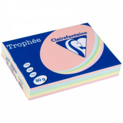 PAPIER REPRO TROPHEE A3 PANACHE PASTEL 80G RTE 500 1707C