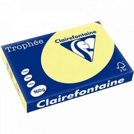 PAPIER TROPHEE A3 160G JONQUILLE RTE 250 1115C