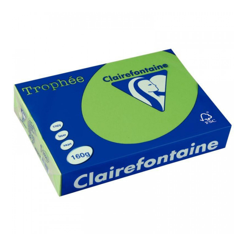 PAPIER TROPHEE A3 160G VERT MENTHE RTE 250 1035C