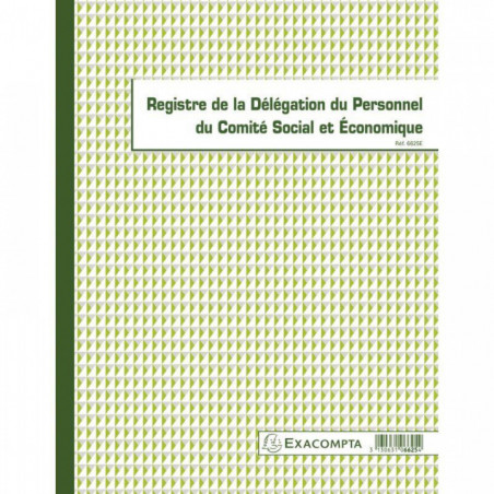 REGISTRE DE LA DÉLÉGATION DU PERSONNEL DU CSE